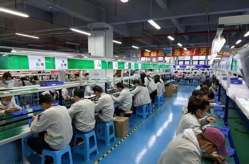 從清華學子到卷煙廠操作工 專業與職業選擇的多元探索